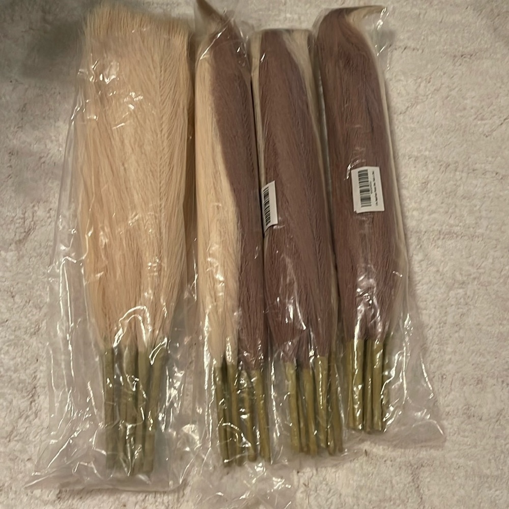 Pampas grass new no box.